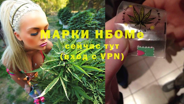 гидра Алексин